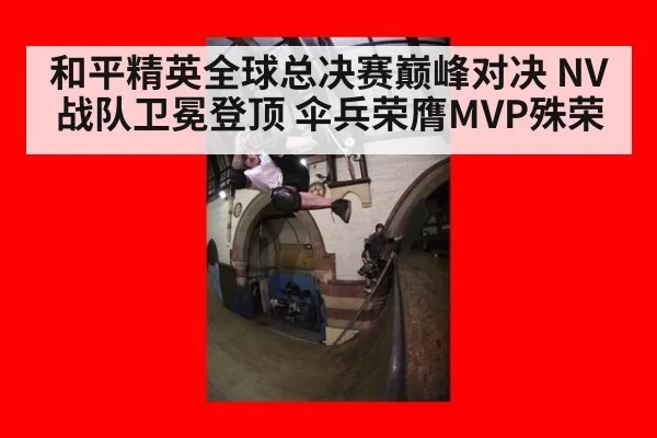 和平精英全球总决赛巅峰对决 NV战队卫冕登顶 伞兵荣膺MVP殊荣